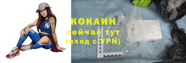 шишки Гусев