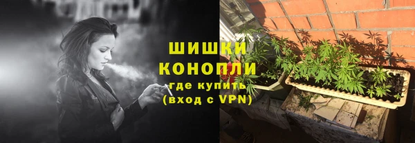 шишки Гусев
