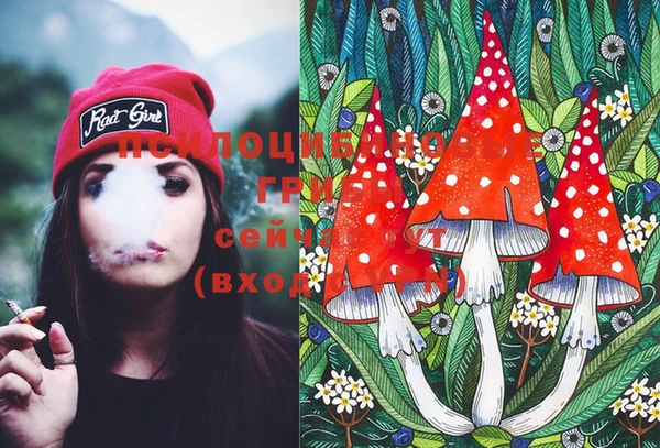 MESCALINE Гусиноозёрск