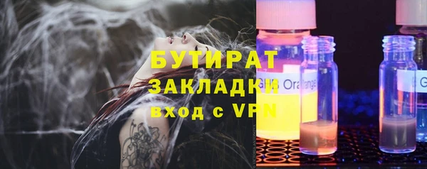 шишки Гусев