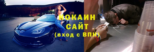 шишки Горно-Алтайск
