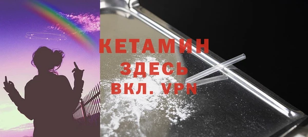шишки Гусев