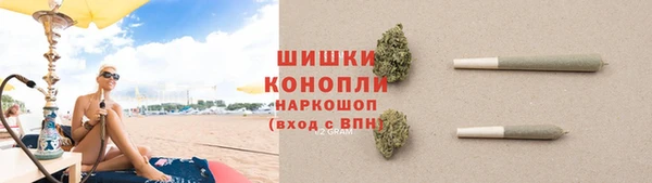 шишки Горно-Алтайск
