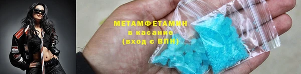 шишки Гусев