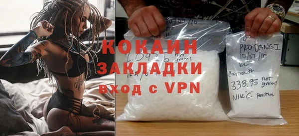 шишки Гусев