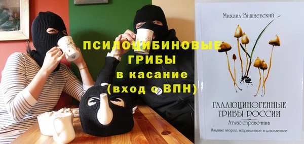 шишки Горно-Алтайск