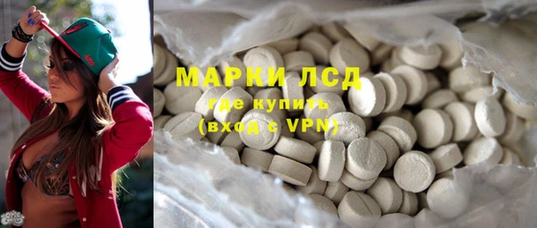 шишки Гусев