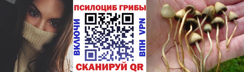 Псилоцибиновые грибы мицелий  где купить наркотик  Краснослободск 